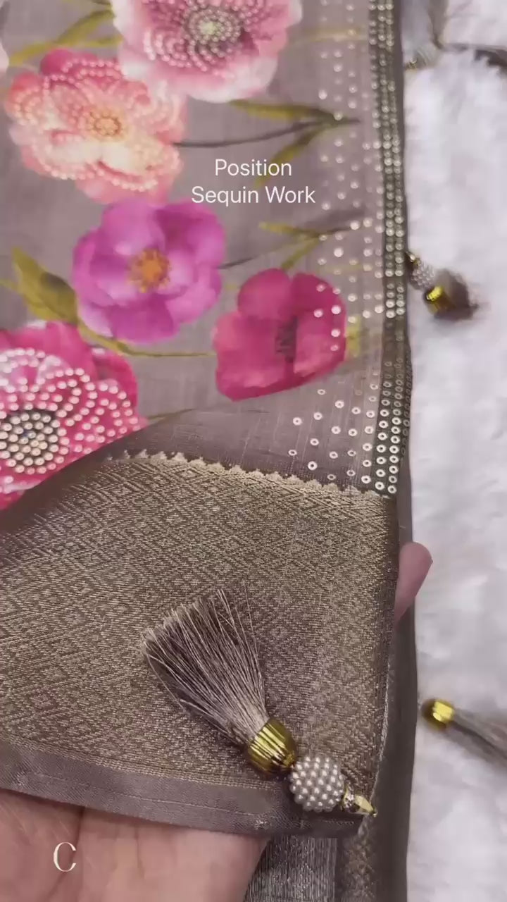 POSITION SEQUIN WORK SAREE