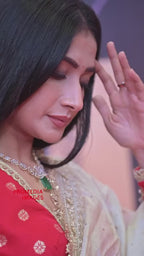 Bollywood Saree Presenting