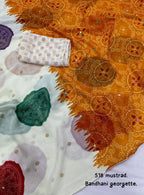 New  bhandani Georgette Saree