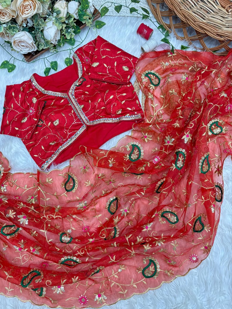 Akhi Soft Tissue Saree