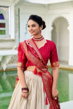 Tasar Silk Patola Laheriya