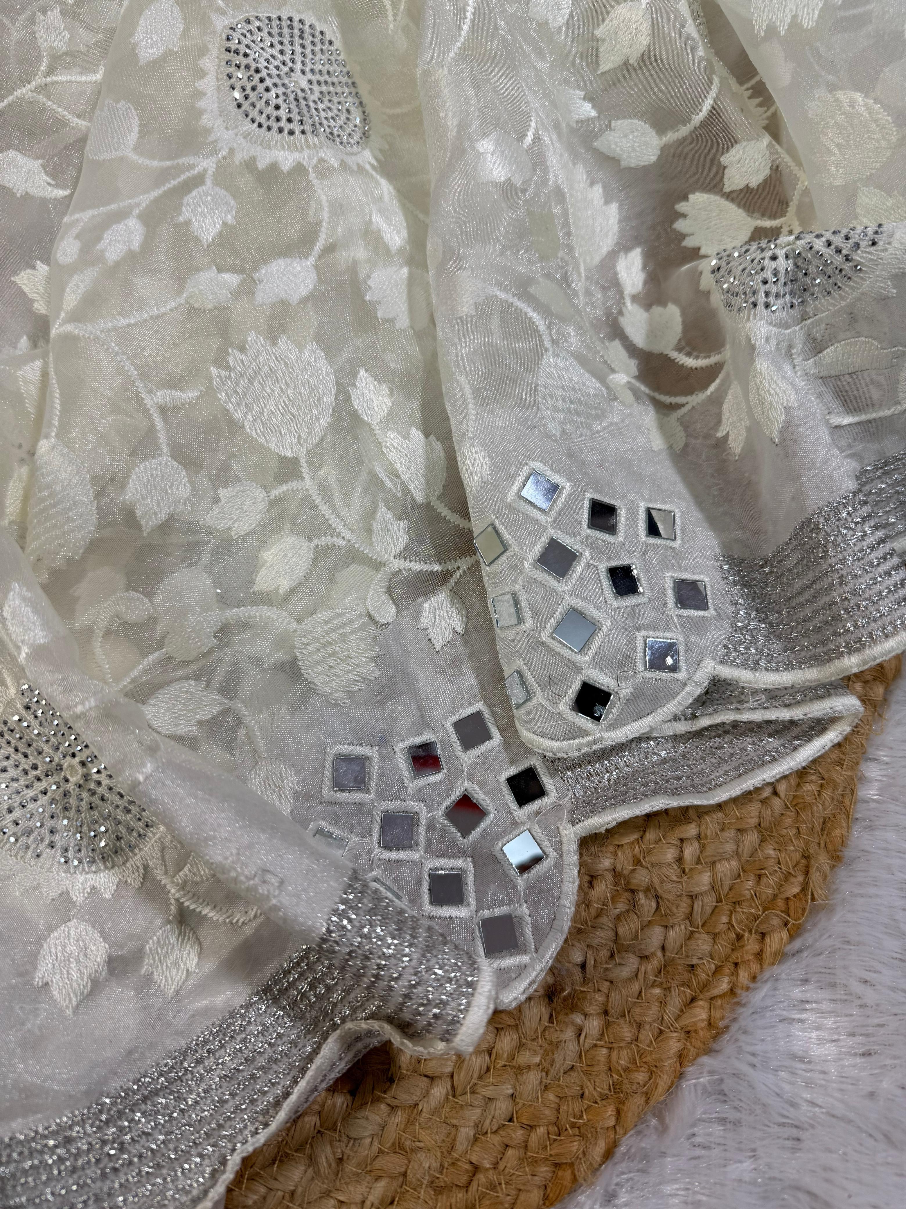 ORGANZA SPARKLE SAREE