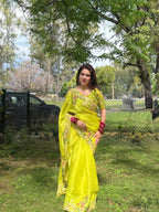 Party Wear Zimmy Chu Lemon Saree