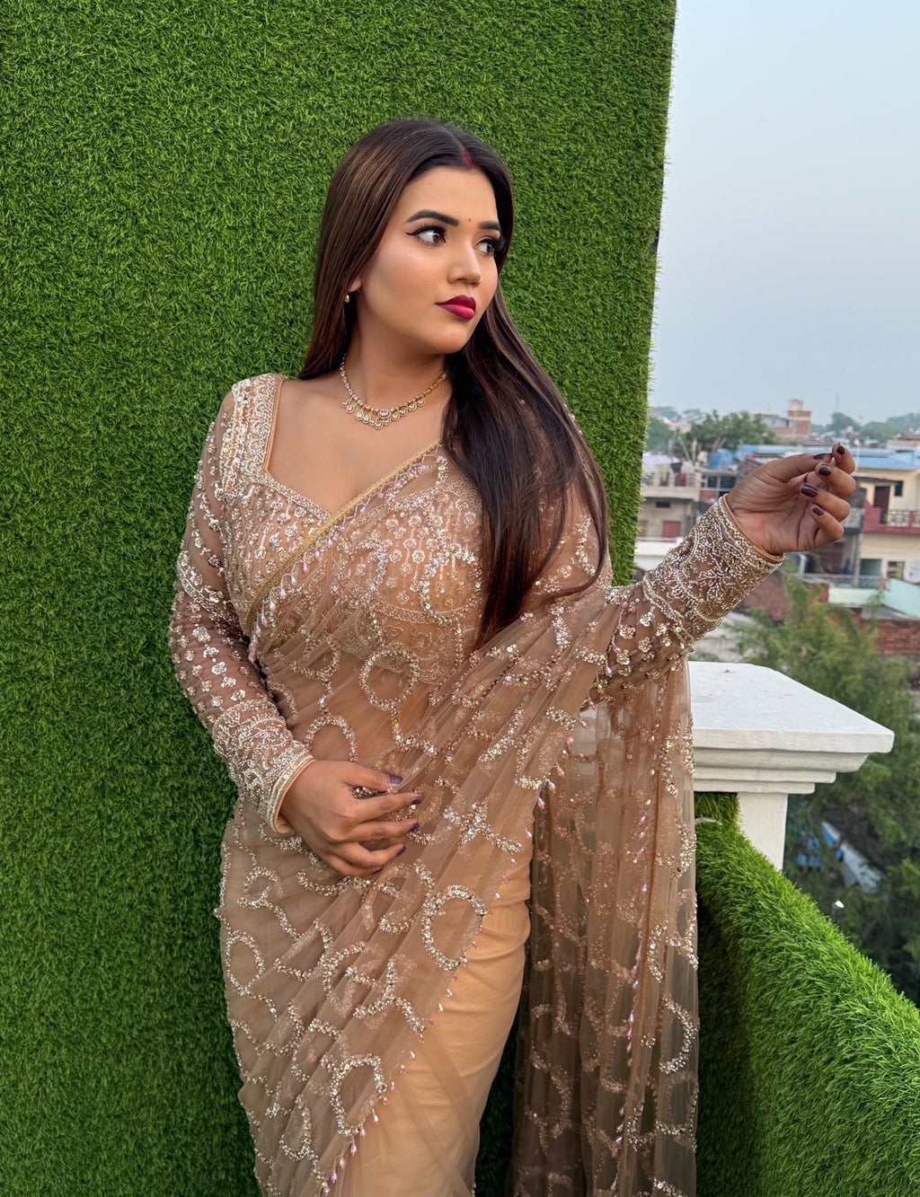 Soft Net Beautiful Sequence wedding Saree
