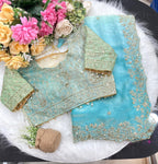 Wedding Fendy Sartin 2D Color Embroidery Saree