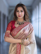 Soft Twil Net Saree