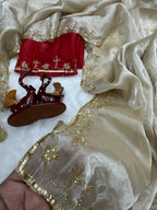 Soft Jimmi choo saree