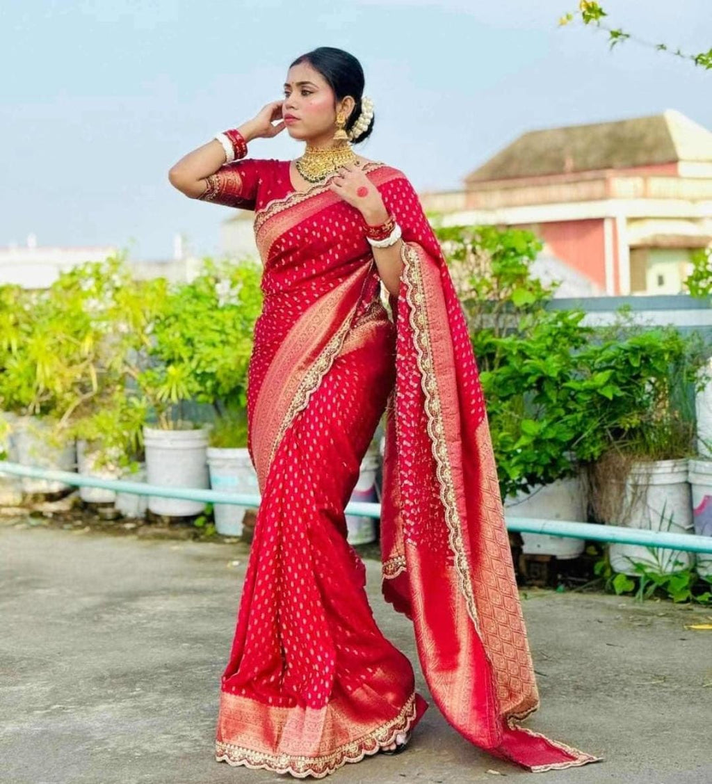 Pure Khaddi Georgette Designer Wedding Saree