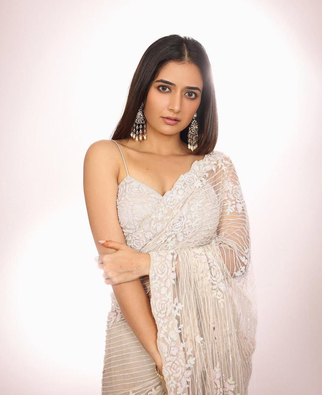 Butterfly Soft Net Saree🤍