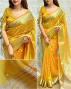 Surii Banarasi Organza Silk Saree