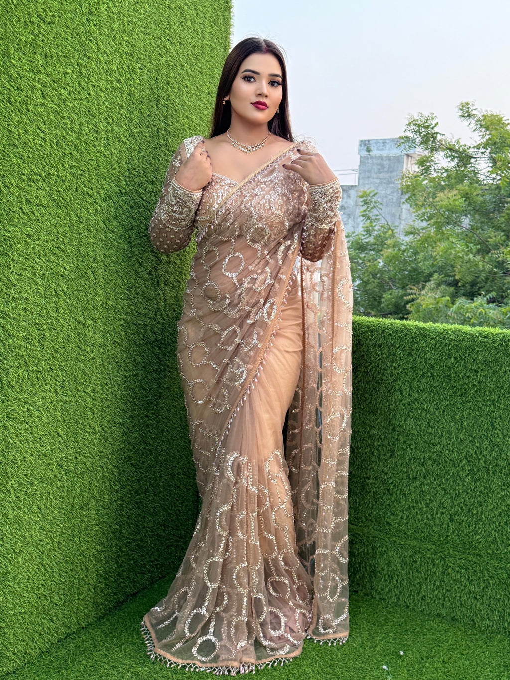 Soft Net Beautiful Sequence wedding Saree