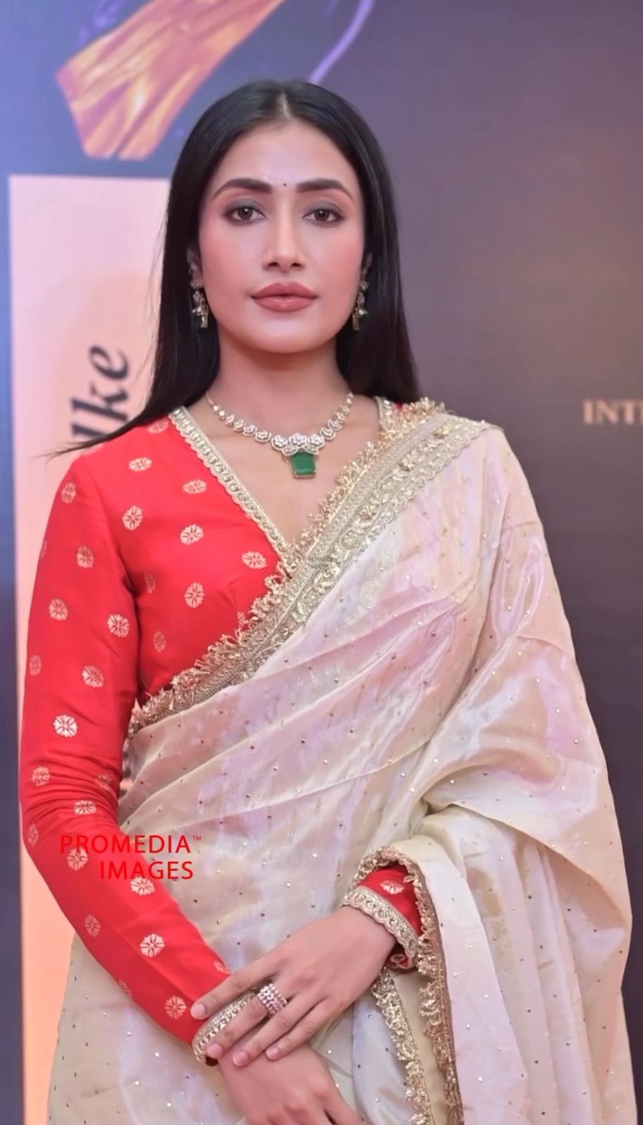 Bollywood Saree Presenting