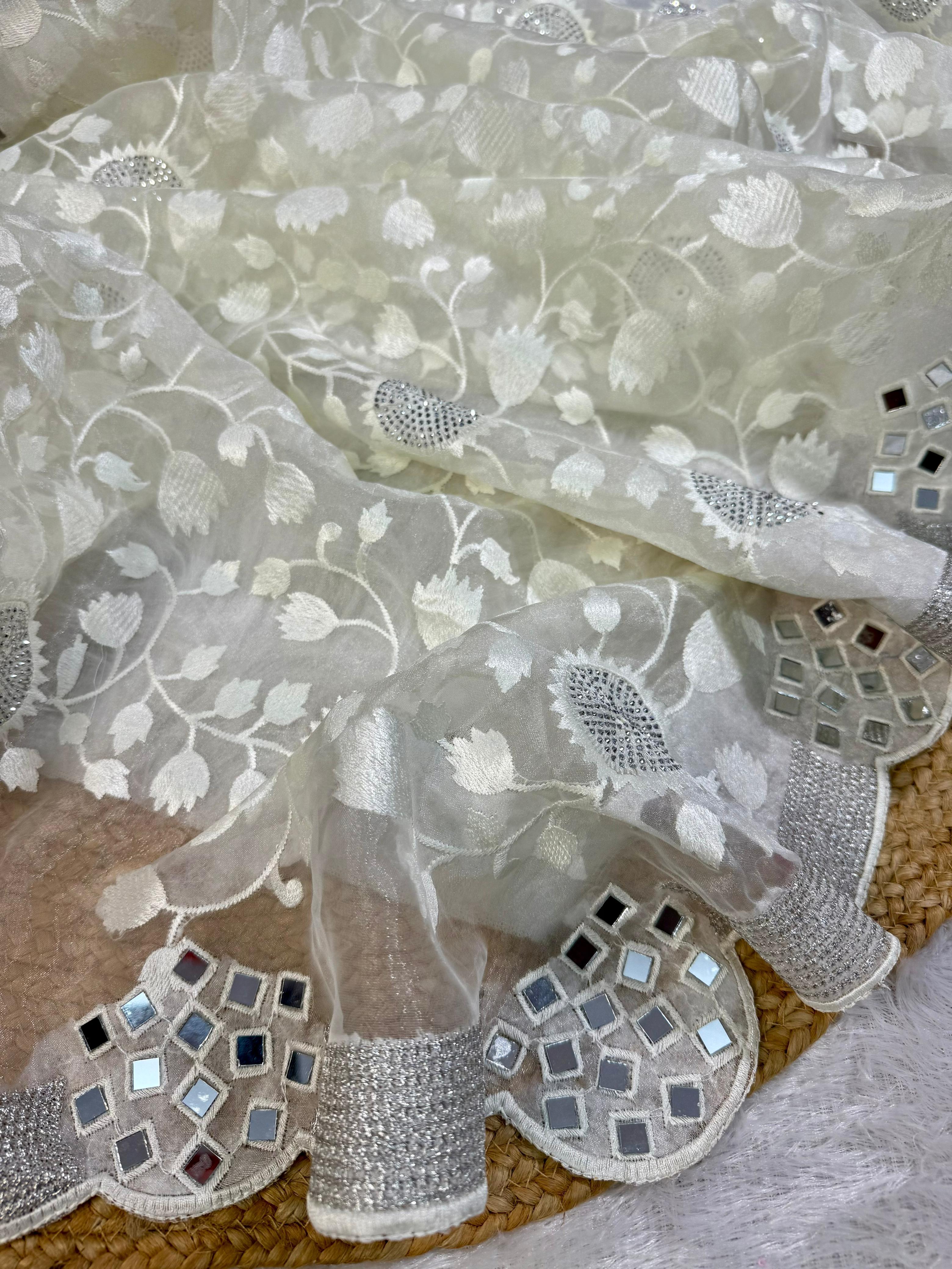 ORGANZA SPARKLE SAREE