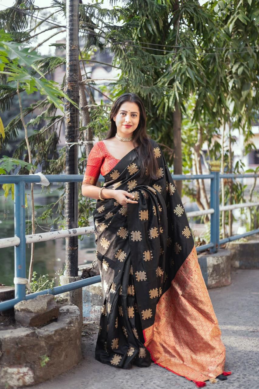 Vintage Style Borderless Soft Silk Woven Saree