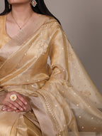 Elegance meets glamour — this poly shimmer saree.