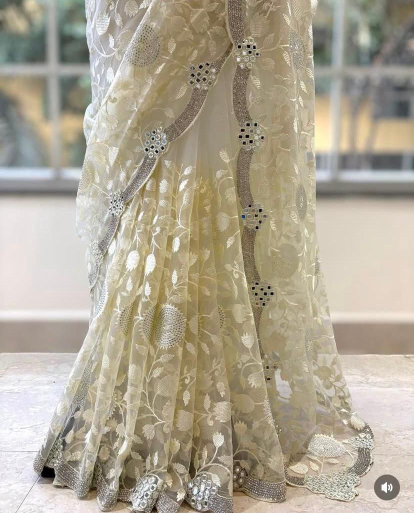 ORGANZA SPARKLE SAREE