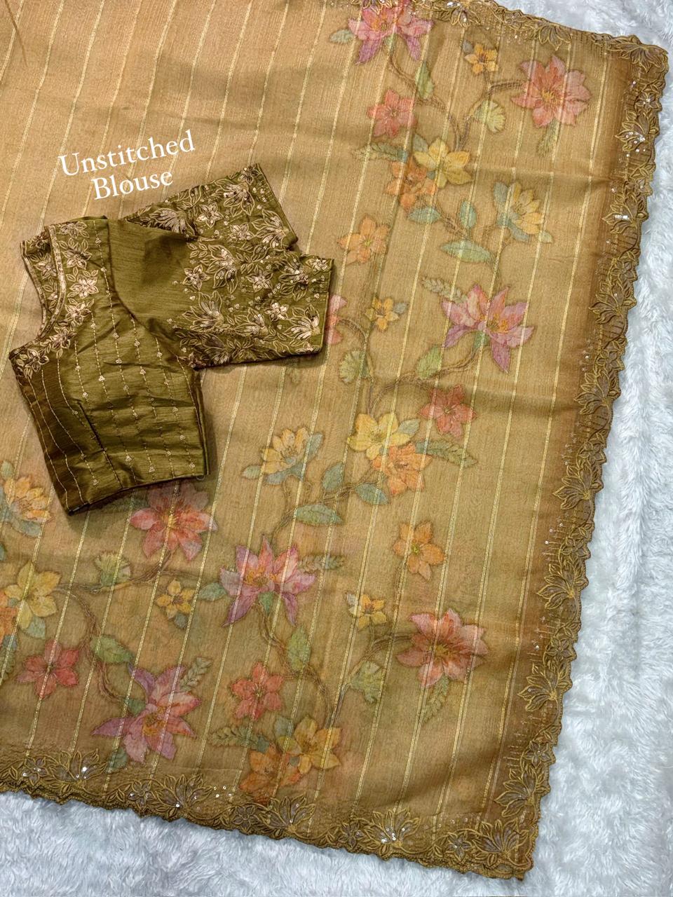 Kashish Glass Organza Saree