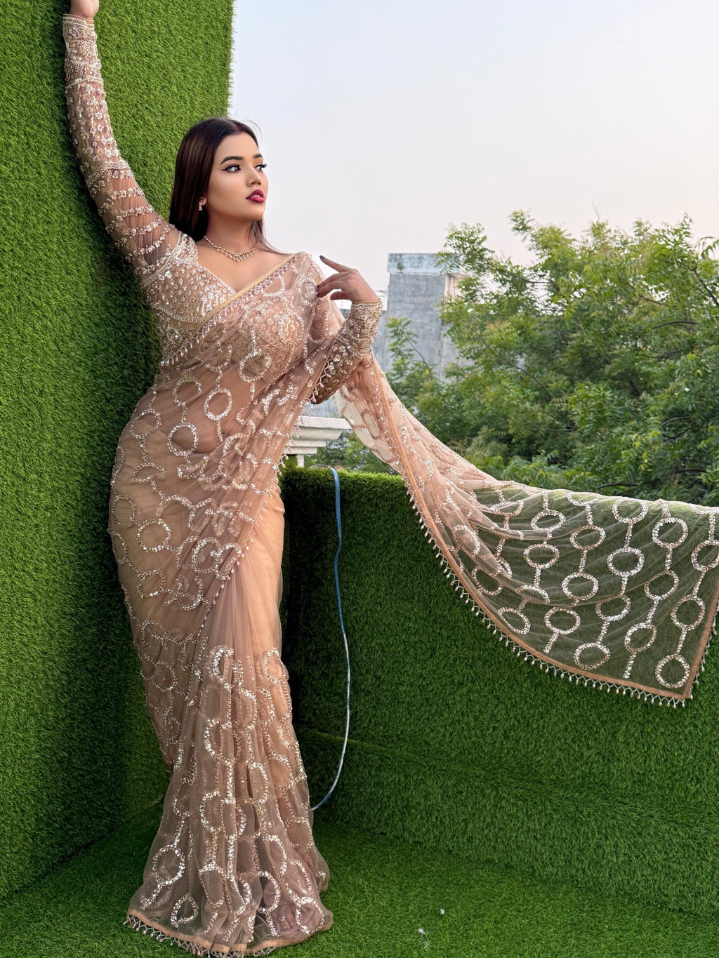 Soft Net Beautiful Sequence wedding Saree