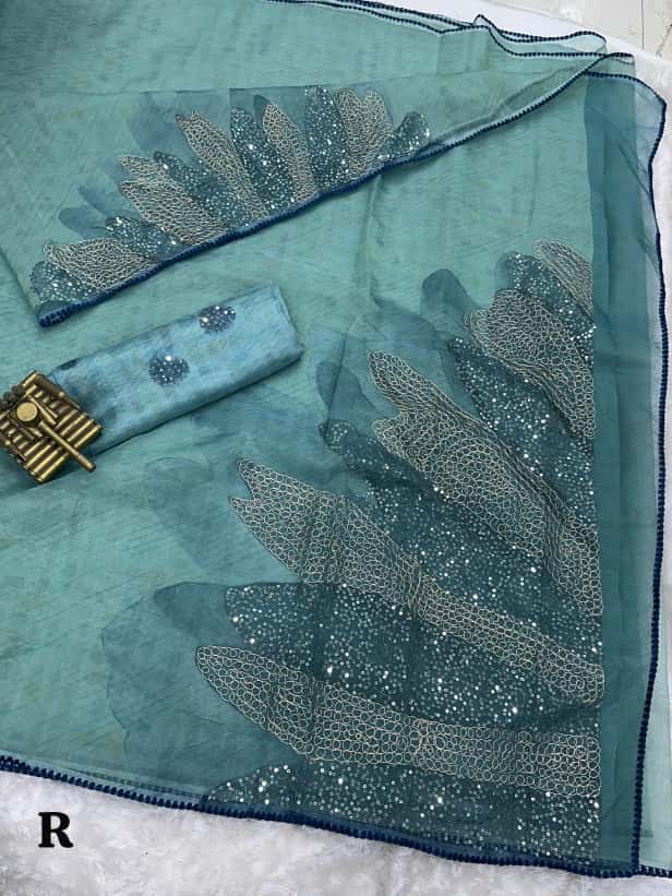 Rimzim Pure Tissue Organza Saree