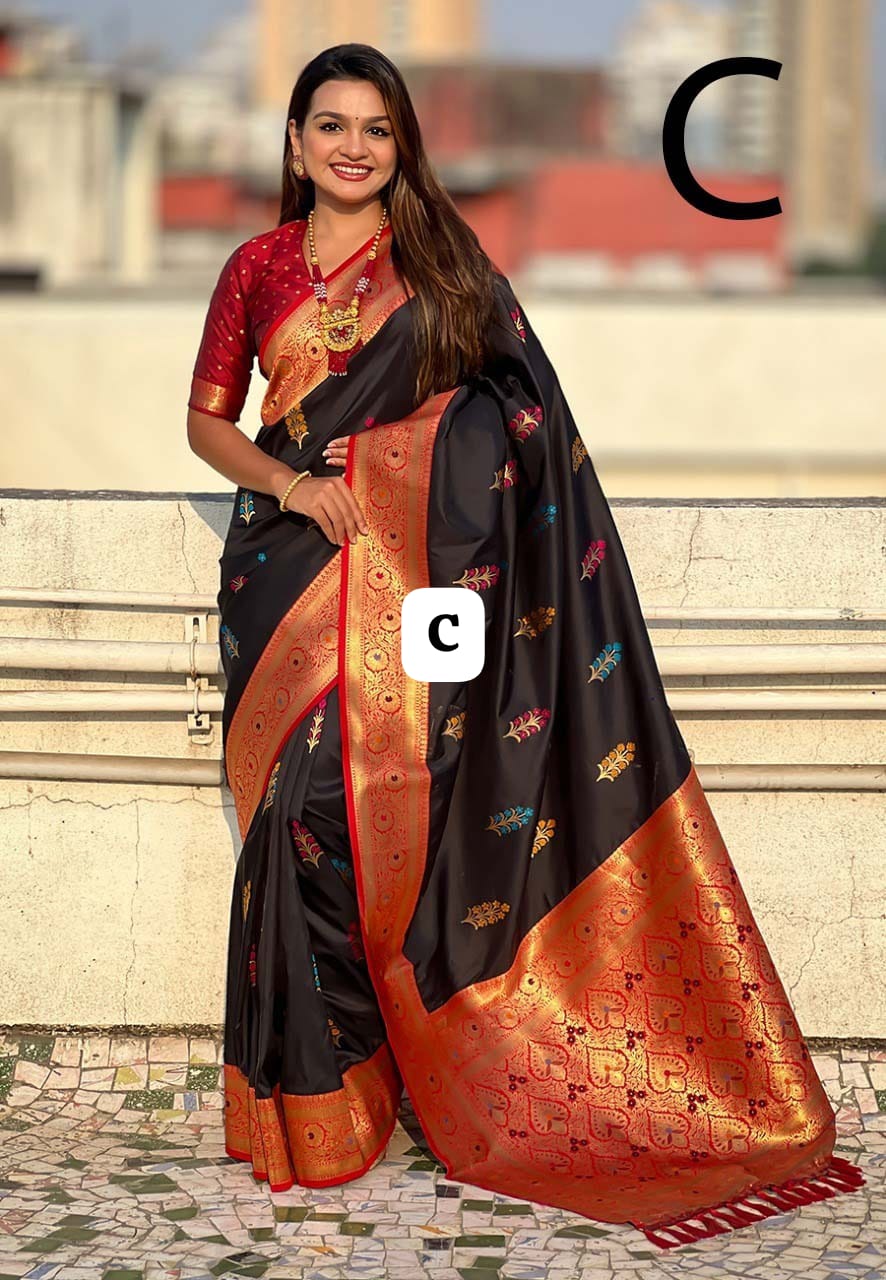 Special Makarsankranti Black Saree Collection