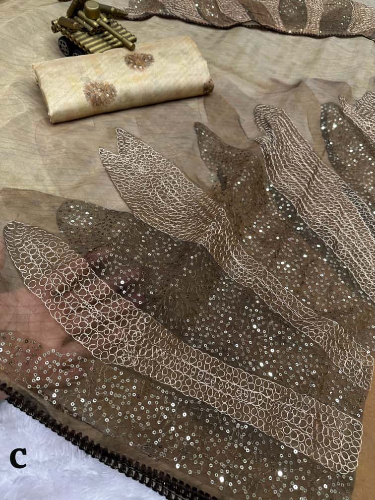 Rimzim Pure Tissue Organza Saree