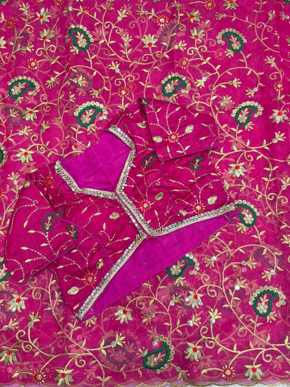 Akhi Soft Tissue Saree
