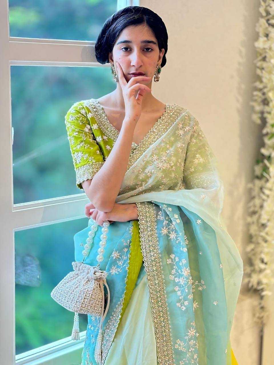 ORGANZA SILK DIGITAL PRINT SAREE