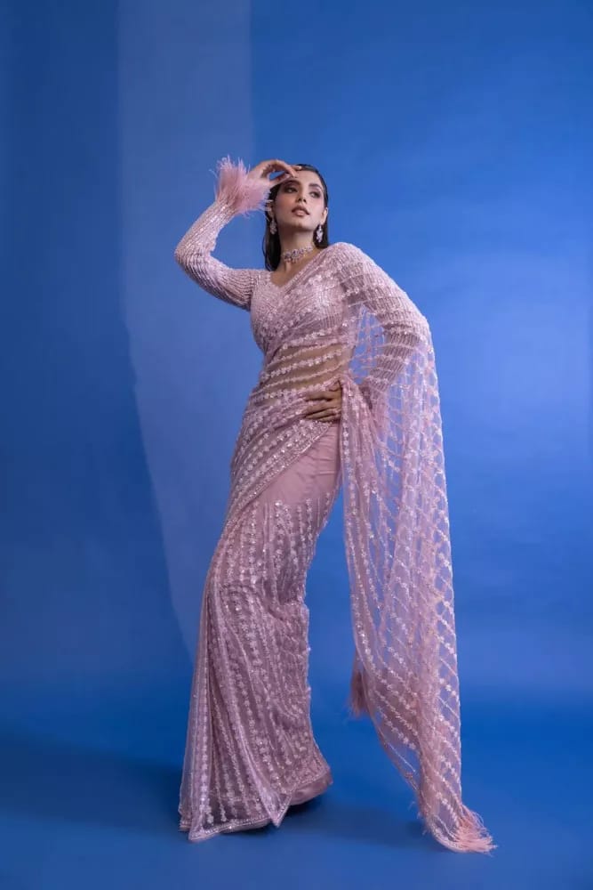 Bollywood Designer heavy Butterfly Net Saree