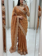 Space Sattin Muti Sequence Emrodairy Work Saree