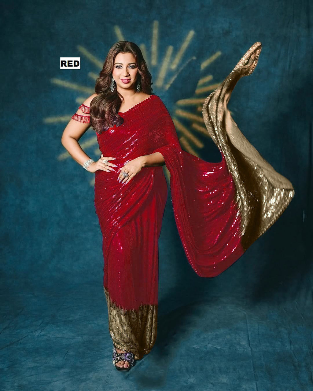 SEQUINS DESIGN SAREE