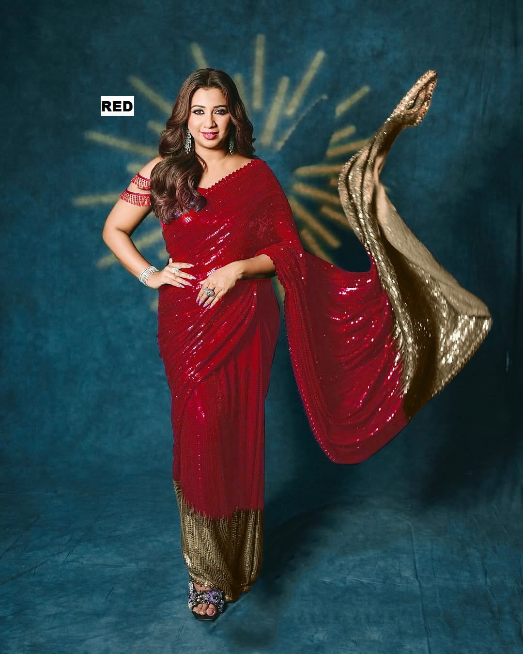 SEQUINS DESIGN SAREE