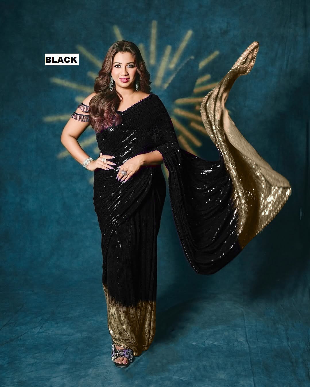 SEQUINS DESIGN SAREE