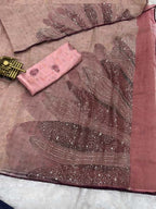 Rimzim Pure Tissue Organza Saree