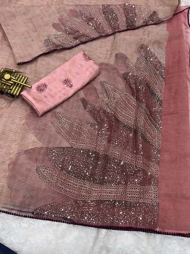 Rimzim Pure Tissue Organza Saree