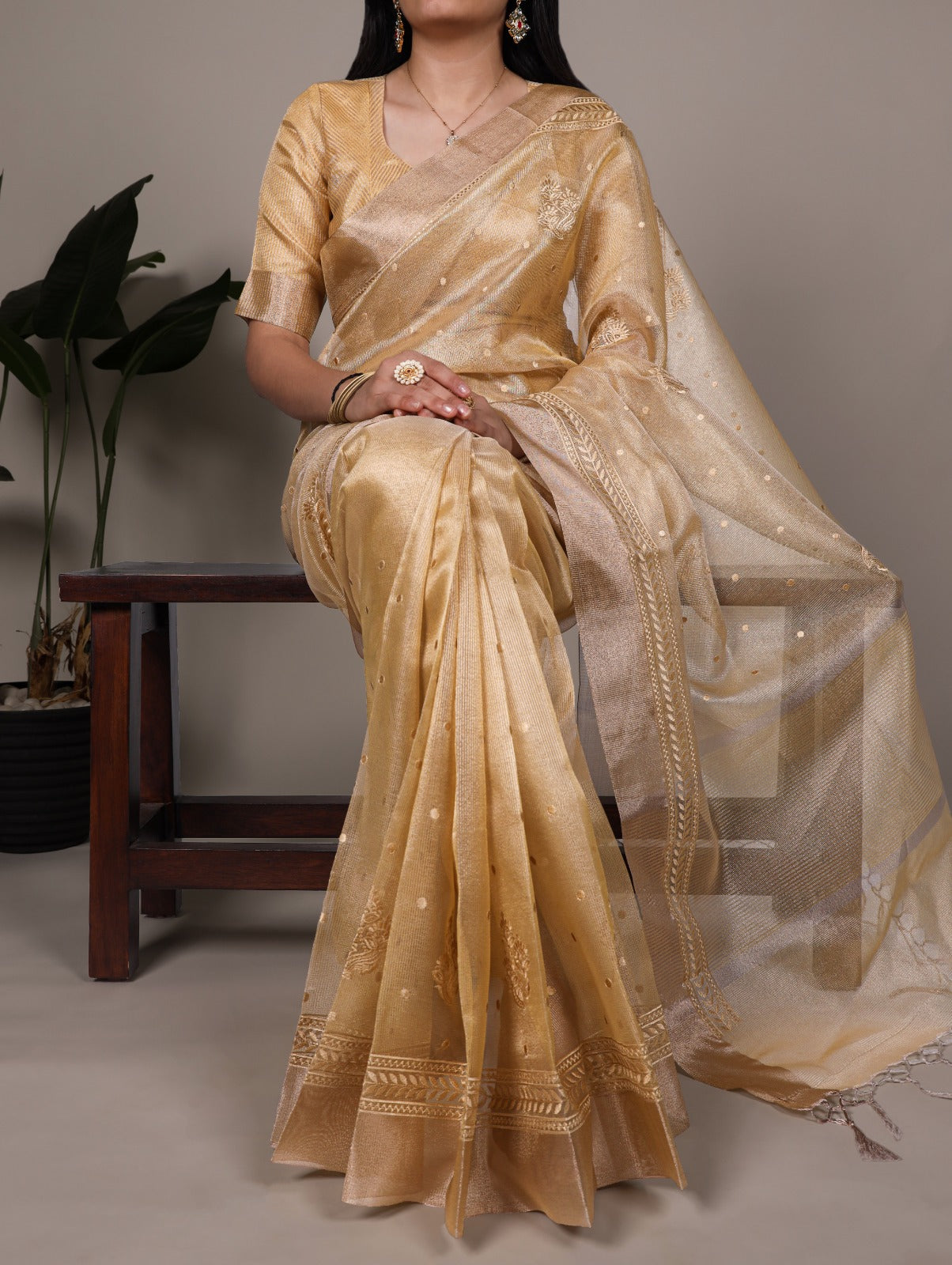 Poly Shimmer Saree