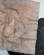 Shreya Glass Simmer Saree
