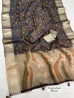 Surii Banarasi Organza Silk Saree