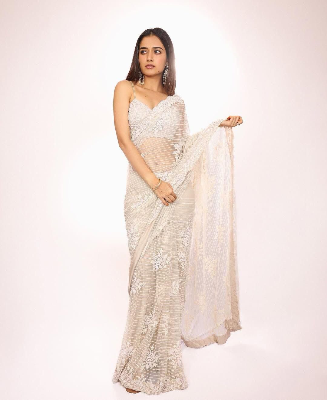 Butterfly Soft Net Saree🤍