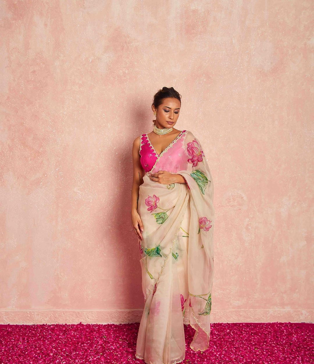 Soft mulmul organza saree