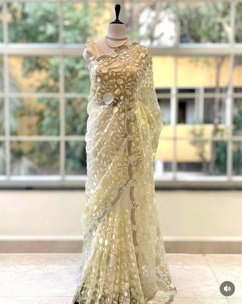 ORGANZA SPARKLE SAREE