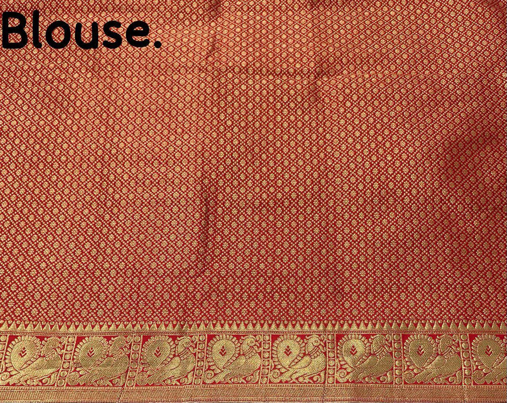 Vintage Style Borderless Soft Silk Woven Saree