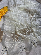 Introducing our exquisite Organza Saree