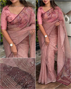 Rimzim Pure Tissue Organza Saree
