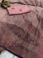 Rimzim Pure Tissue Organza Saree