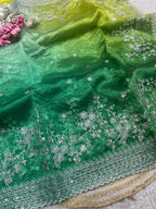 ORGANZA SILK DIGITAL PRINT SAREE