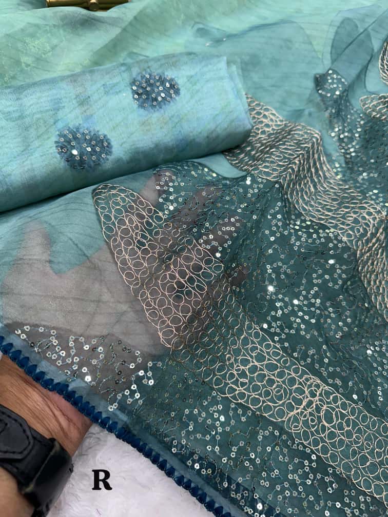 Rimzim Pure Tissue Organza Saree