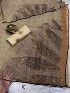 Rimzim Pure Tissue Organza Saree