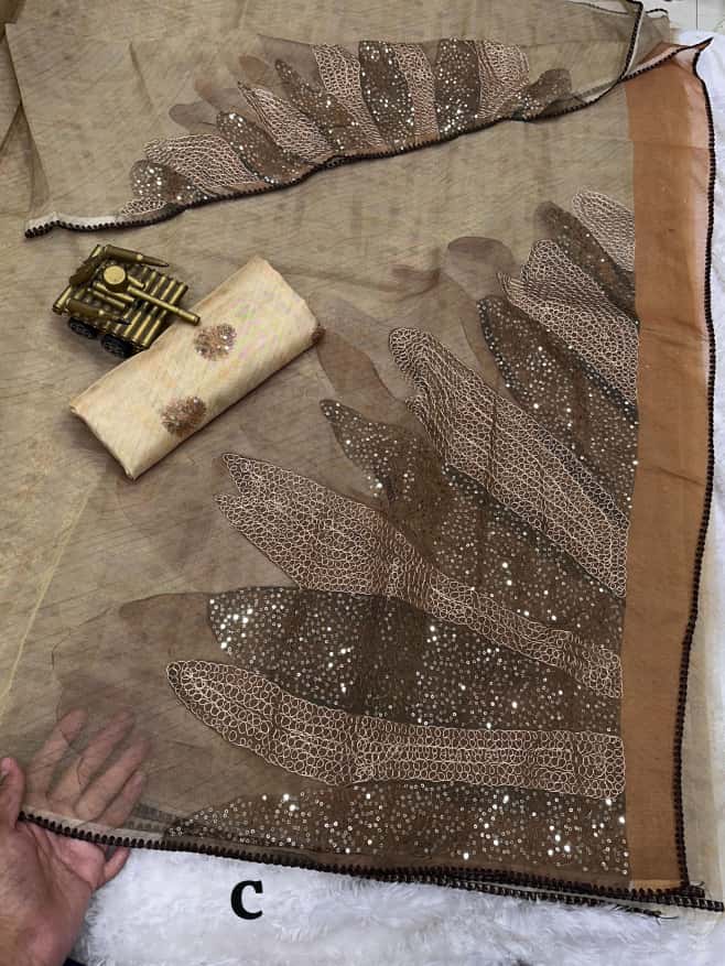 Rimzim Pure Tissue Organza Saree