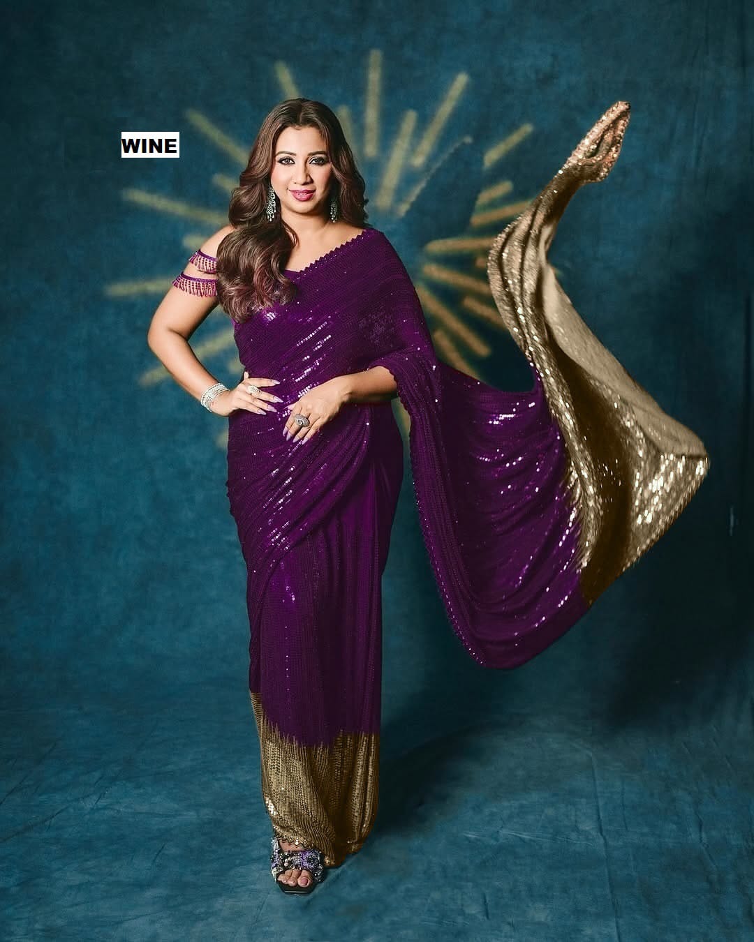 SEQUINS DESIGN SAREE