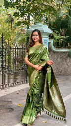 Premium Banarasi Soft Silk Sarees